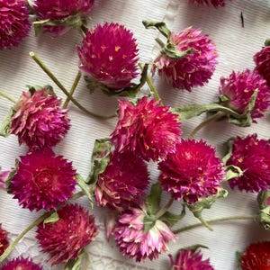 25/50/100 pcs red gomphrena heads, tiny dried flowers, making candles with your hands, resin flowers, gomphrena for projects