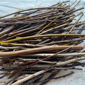 Op de afbeelding: Een stapel kleine, gedroogde twijgen in verschillende tinten bruin, beige en groen. De twijgen zijn van verschillende lengtes en diktes, wat een natuurlijke, rustieke uitstraling creëert. De achtergrond is een wit, getextureerd oppervlak.