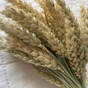 50\100 g cereal ingredients, organic wheat, animal feed