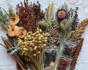 Könnte beinhalten: Eine Sammlung getrockneter botanischer Elemente, darunter Weizenhalme, Flachssamenkapseln, Hirse, getrocknete Apfelscheiben und mit blauem Garn gebundene Zimtstangen. Zwei kleine durchsichtige Plastiktüten enthalten dunkle Samen und rote Beeren.