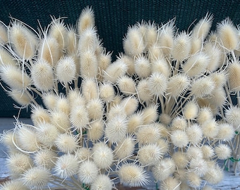 10 stuks, mini gebleekte distel, witte gedroogde bloemen, gedroogde pluisjes, gedroogde bloemen