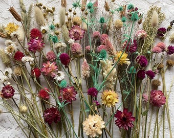 May include: A collection of dried flowers and grasses featuring a vibrant mix of colors including magenta, pink, yellow, cream, and teal. The arrangement includes various textures such as globe amaranth, strawflowers, and spiky thistle stems.