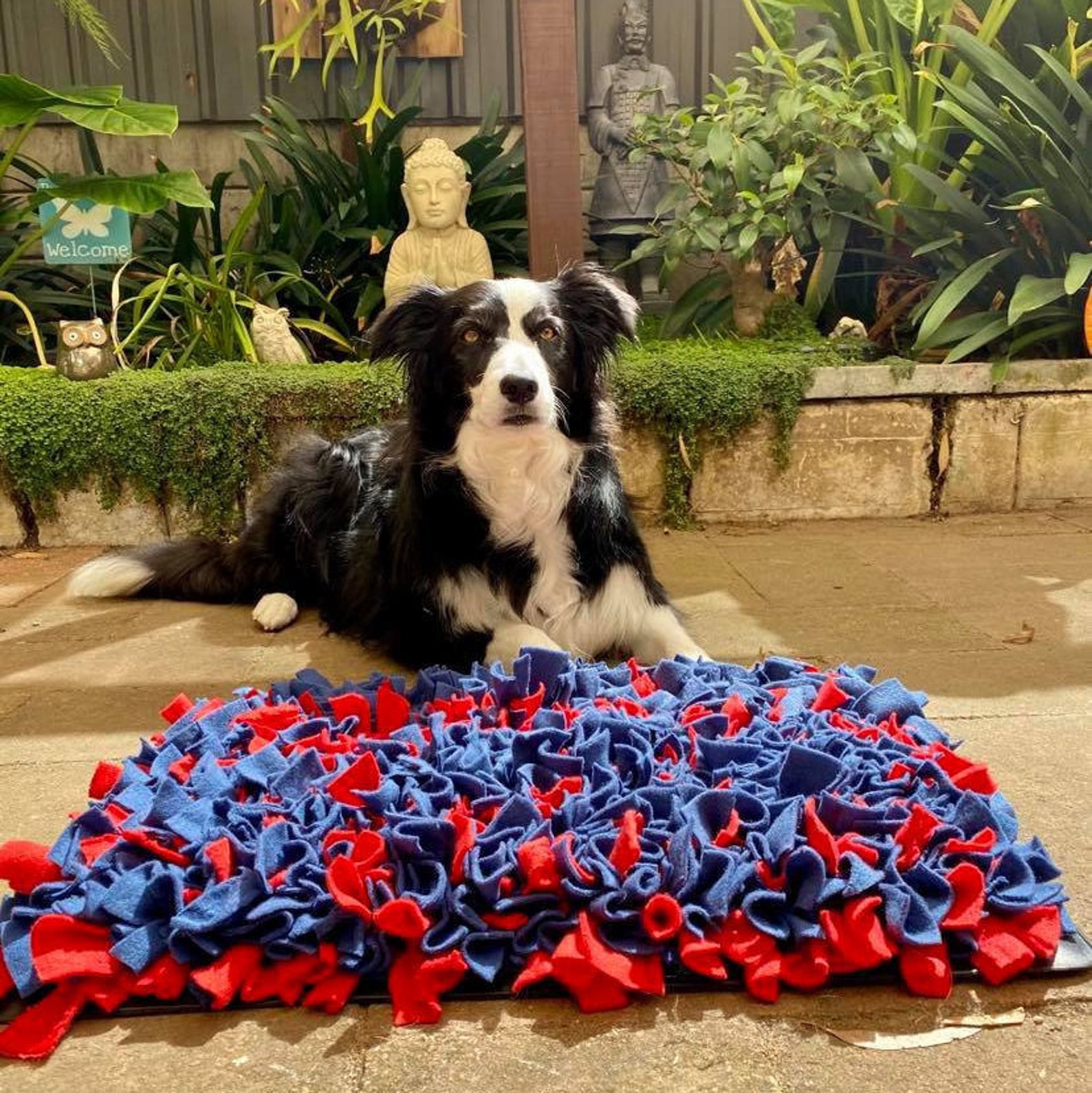 Snuffle Mats For Dogs: All You Need To Know (2024 Update) Snuffle Mats For Dogs: All You Need To Know (2024 Update)