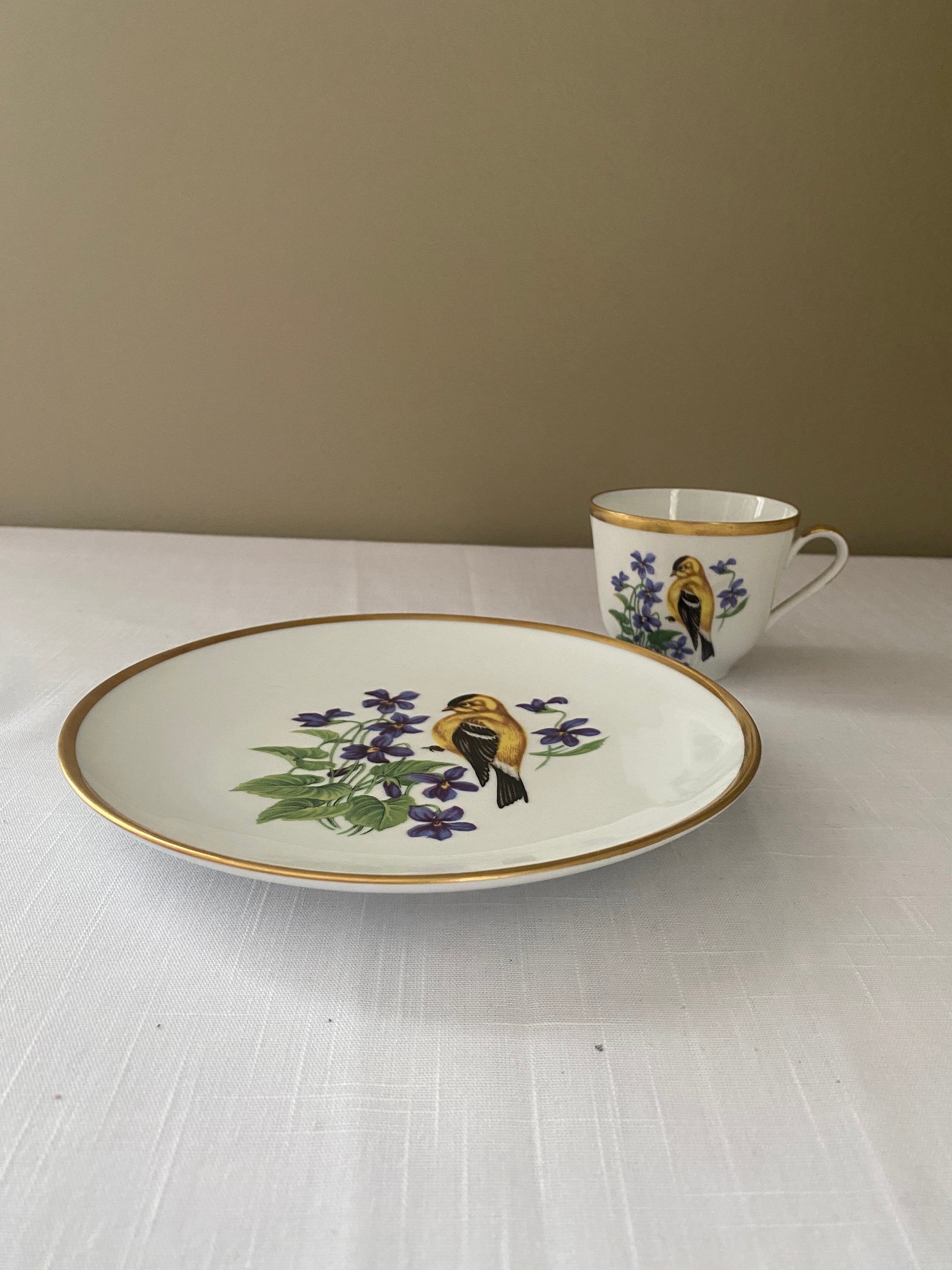 Vintage 1954 Schumann Bavaria Porcelain Bird Plate and Tea Cup - Etsy