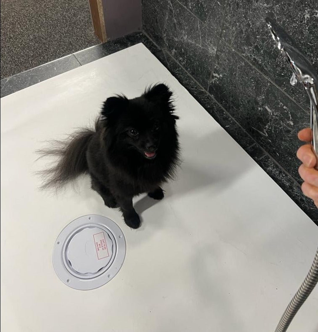 Dog Shower Tray 1150x700 With Thermostatic Shower Set & Choice of