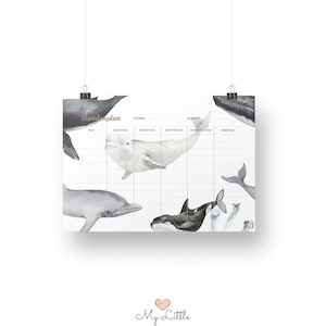 Timetable whale / start of school / school year / organization / gift for school enrollment / school bag / sea creature / start of school / semester / boy Nicht personalisiert