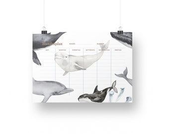 Timetable whale / start of school / school year / organization / gift for school enrollment / school bag / sea creature / start of school / semester / boy