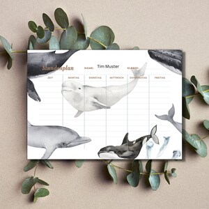 Timetable whale / start of school / school year / organization / gift for school enrollment / school bag / sea creature / start of school / semester / boy Personalisiert