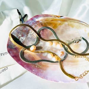 Fischgrat Halskette; Choker; Gold/Silber; Titan; Hypoallergen