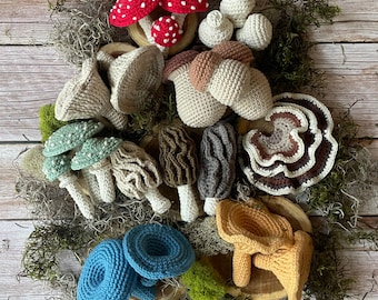 CROCHET PATTERN Mushroom Harvest Bundle | 9 Varieties, 21 Patterns Total | Amanita, Chanterelle, Morel, Porcini, Oyster, Button, More+