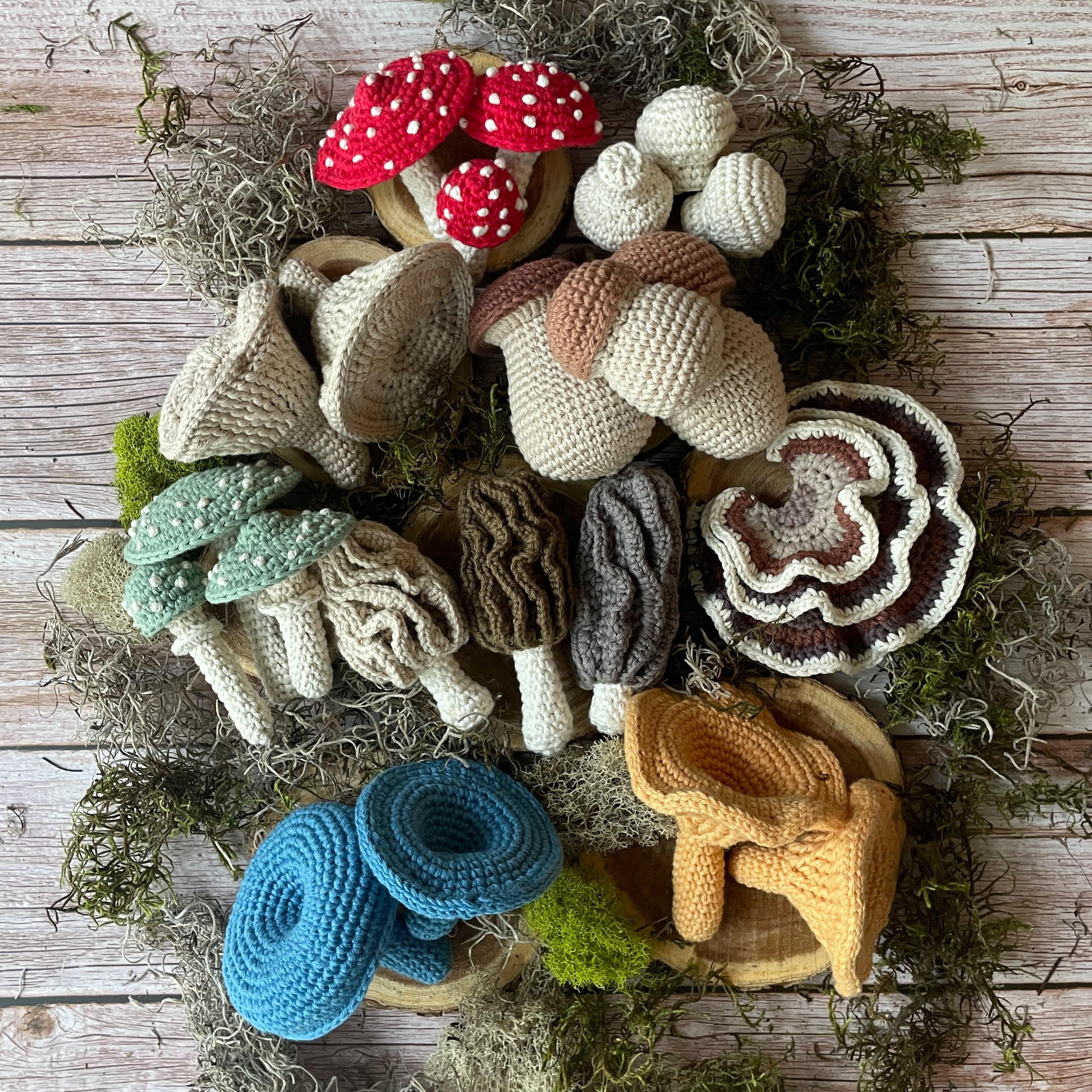 CROCHET PATTERN Mushroom Harvest Bundle | 9 Varieties, 21 Patterns Total | Amanita, Chanterelle, Morel, Porcini, Oyster, Button, More+
