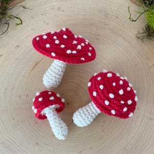 Puede incluir: Tres setas de ganchillo de diferentes tamaños. La seta más grande es roja con puntos blancos y un tallo blanco. La seta mediana es roja con puntos blancos y un tallo blanco. La seta más pequeña es roja con puntos blancos y un tallo blanco.