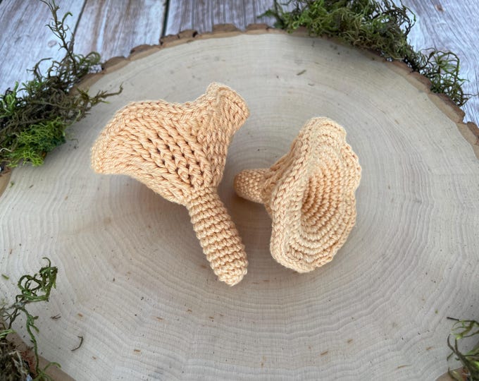 VARIETY MUSHROOM Crochet Pattern