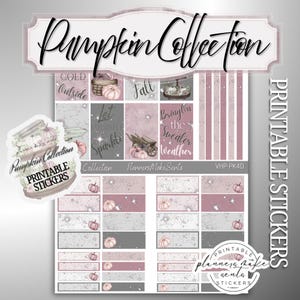 Puede incluir: Una hoja de pegatinas imprimibles para agenda titulada Pumpkin Collection que presenta varias etiquetas rectangulares, tiras decorativas e ilustraciones de calabazas en tonos rosa empolvado, gris y blanco con textos como Cold Outside, Fall y Bring On the Sweater Weather.