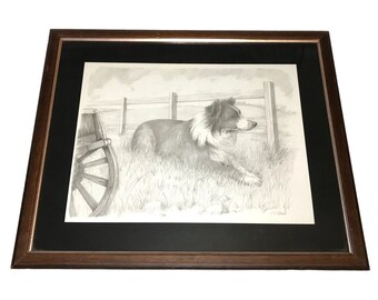 Grande photo d'art originale de chien de berger Border Collie au crayon encadrée