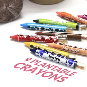 POP ARTZ Twist Crayon 12 Colours – POPULAR Online Singapore