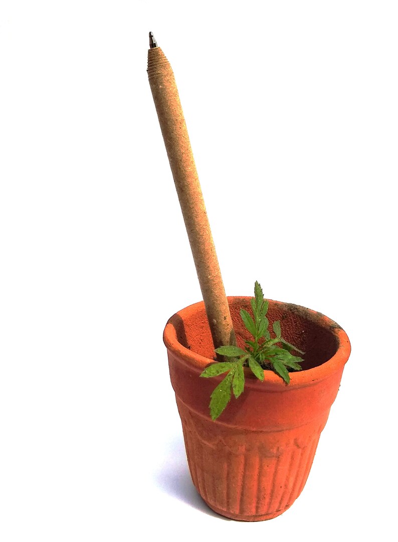 Pode incluir: Uma caneta marrom com uma ponta de metal est&aacute; em p&eacute; em um pequeno vaso de terracota com uma planta verde crescendo dentro.