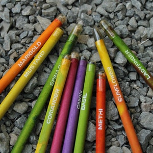 Pencils Sets, Eco Friendly Pencils Set, Garden Pencils sets, Pencils with scripter holder, School Pencils, Plastic free Pencils