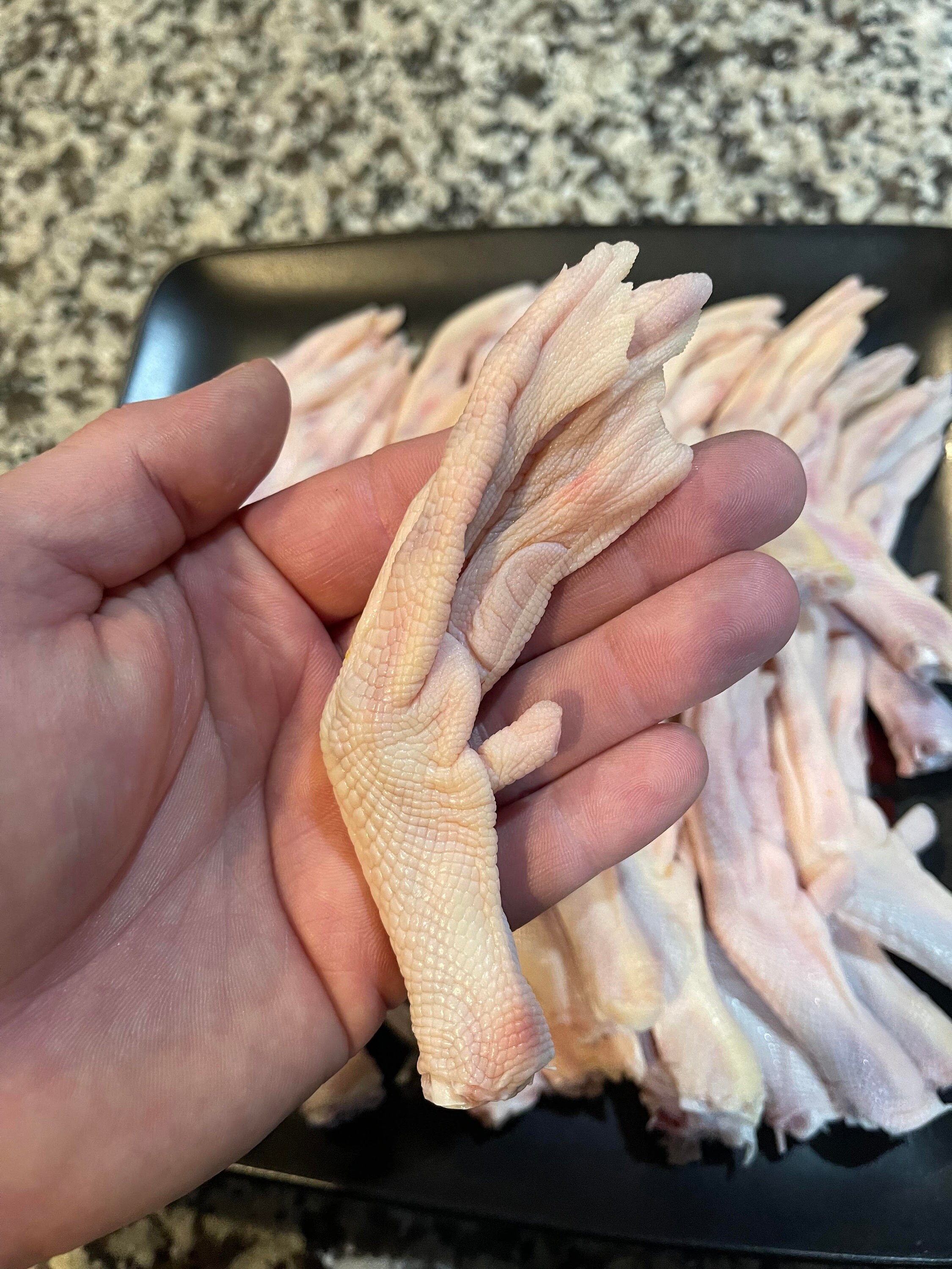 Dehydrated Duck Feet Etsy