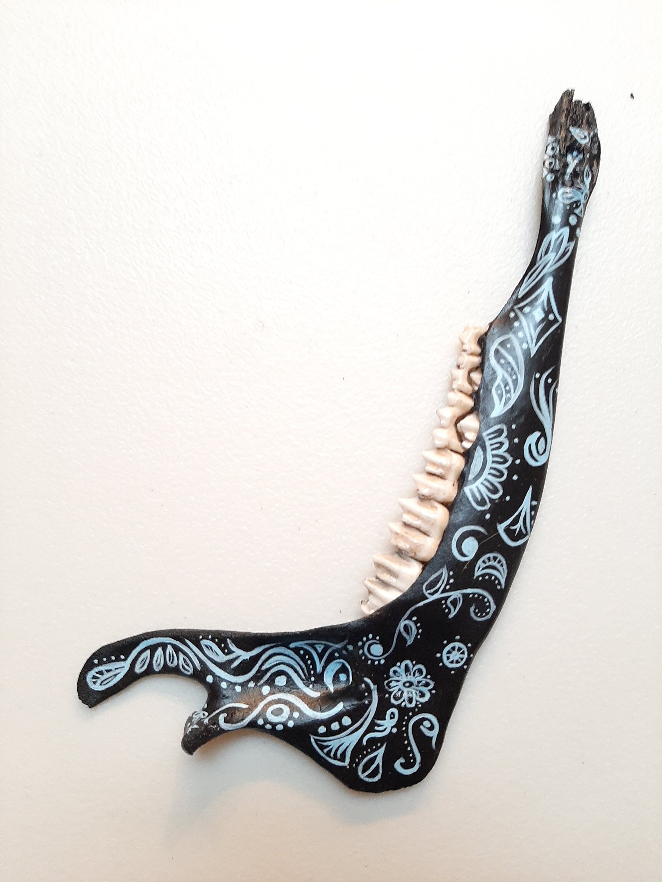 BoneArtPetit Hand Painted Deer Jaw Bone Black-Light Blue-Cream | Etsy