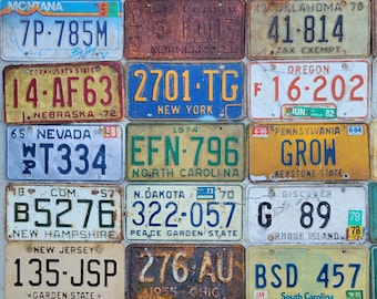 SET of ALL 50 States - Top Qual, craft, RUSTIC License Plates curated for sale from my personal collection.