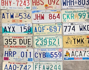 VINTAGE CANADIAN License Plates - Plate # may be different
