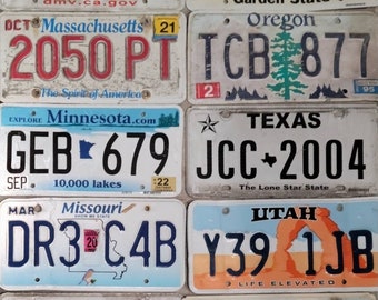 Authentic Distressed License Plates: Group of 10 Curated Crafting Plates