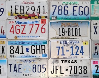 Craft Grade License Plates: 50 State Set, Various Colors