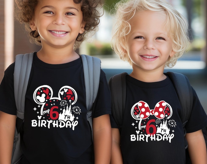 Disney Birthday Tshirt, Minnie Mouse Birthday Tshirt, Birthday Boy Shirt, Mickey Mouse Shirt,  Disney Trip Shirt,  Birthday Girl Shirt
