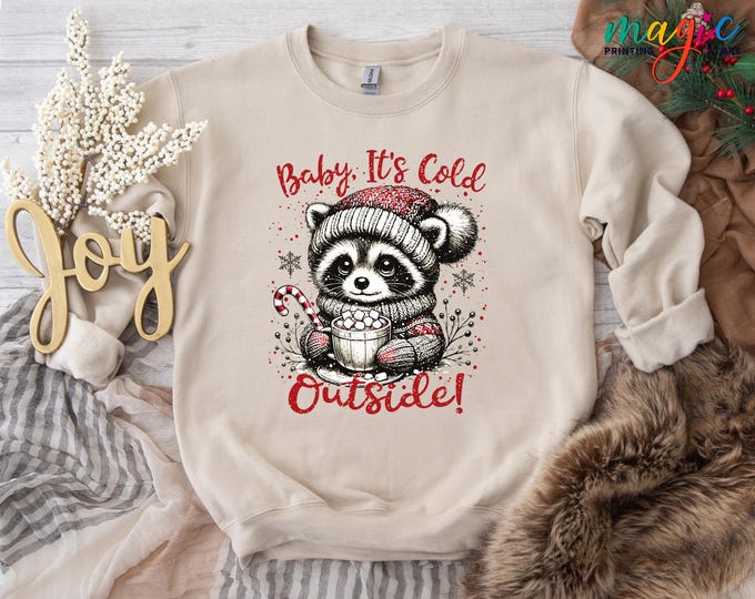 Funny Racoon Christmas Sweatshirt, Baby Its Cold Outside Hoodie, Winter Sweater,Happy Holiday Gift