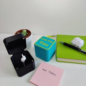 May include: A black box containing a white hand giving the middle finger, a teal box with "Just For You" text, a pink sticky note with "Not Today" text, a green notebook, a pen, and a small succulent plant.