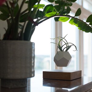 Pode incluir: Um vaso geom&eacute;trico branco com uma planta verde dentro est&aacute; levitando acima de uma base de madeira. O vaso est&aacute; suspenso no ar, criando um visual moderno e minimalista.
