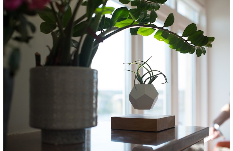 Pode incluir: Um vaso geom&eacute;trico branco com uma planta verde dentro est&aacute; levitando acima de uma base de madeira. O vaso est&aacute; suspenso no ar, criando um visual moderno e minimalista.