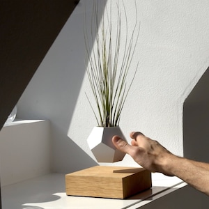 Pode incluir: Um vaso geom&eacute;trico branco com uma planta verde dentro est&aacute; levitando sobre uma base de madeira. Uma m&atilde;o est&aacute; estendida para tocar o vaso.