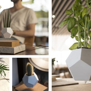 Pode incluir: Um conjunto de quatro vasos geom&eacute;tricos brancos com v&aacute;rias plantas, incluindo um cacto, uma suculenta e uma planta de folha. Os vasos est&atilde;o suspensos no ar sobre bases de madeira.
