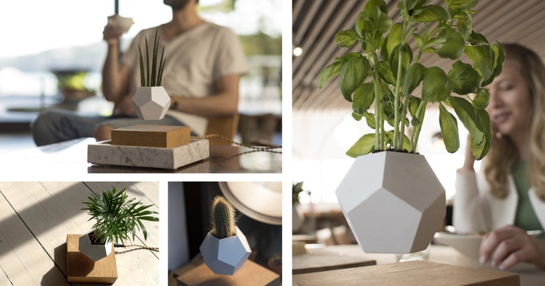 Pode incluir: Um conjunto de quatro vasos geom&eacute;tricos brancos com v&aacute;rias plantas, incluindo um cacto, uma suculenta e uma planta de folha. Os vasos est&atilde;o suspensos no ar sobre bases de madeira.