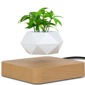 Pode incluir: Um vaso geom&eacute;trico branco com uma planta verde que levita sobre uma base de madeira. A base tem um cabo conectado a ela.
