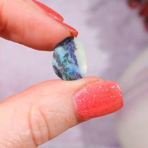 Australian Fern Fossil Opal