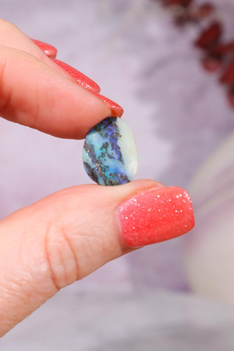 Australian Fern Fossil Opal