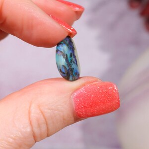Australian Fern Fossil Opal