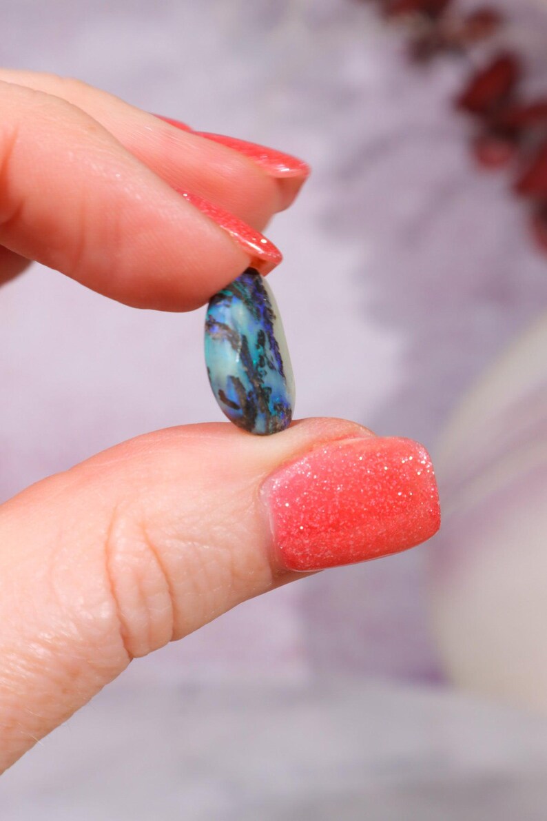 Australian Fern Fossil Opal
