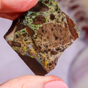 May include: A rough, diamond-shaped piece of dark brown and tan matrix stone featuring embedded iridescent flecks of green, gold, and blue. The stone has a mottled, speckled texture with distinct dark brown inclusions and bright, reflective mineral deposits.