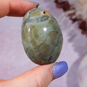 Ibis Jasper Palm stones | Intuitively Chosen