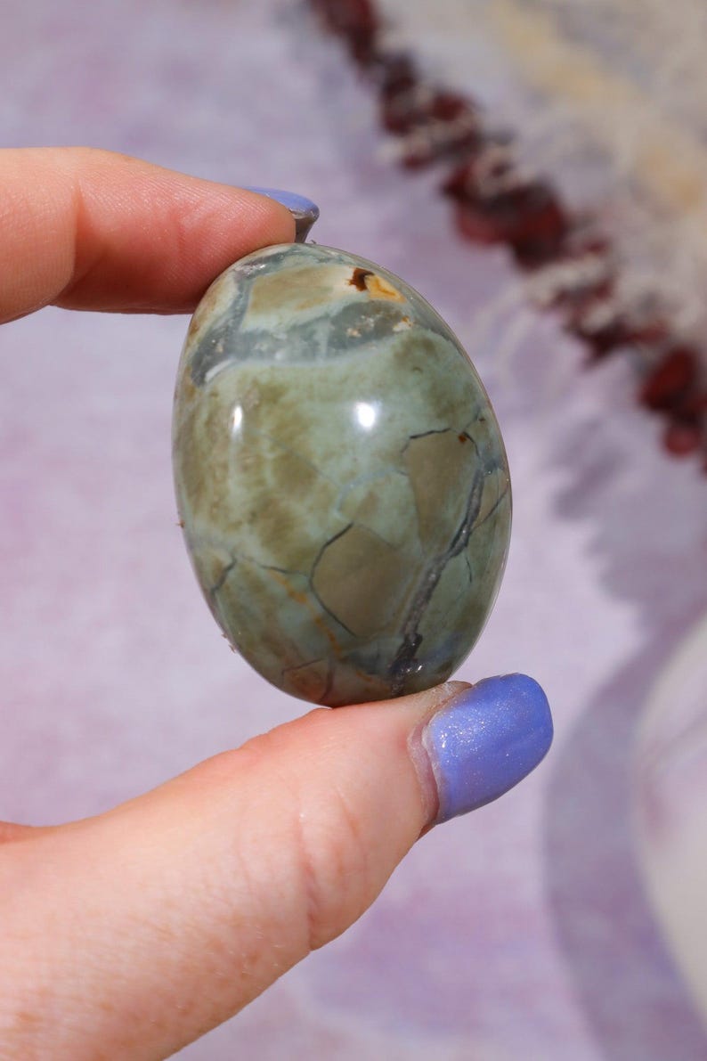 Ibis Jasper Palm stones | Intuitively Chosen