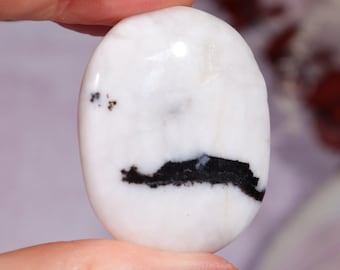Zebra Agate Palm Stone – Black and White Crystal for Grounding, Creativity & Emotional Balance
