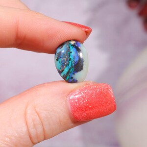Australian Fern Fossil Opal