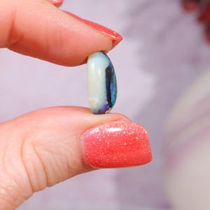 Australian Fern Fossil Opal