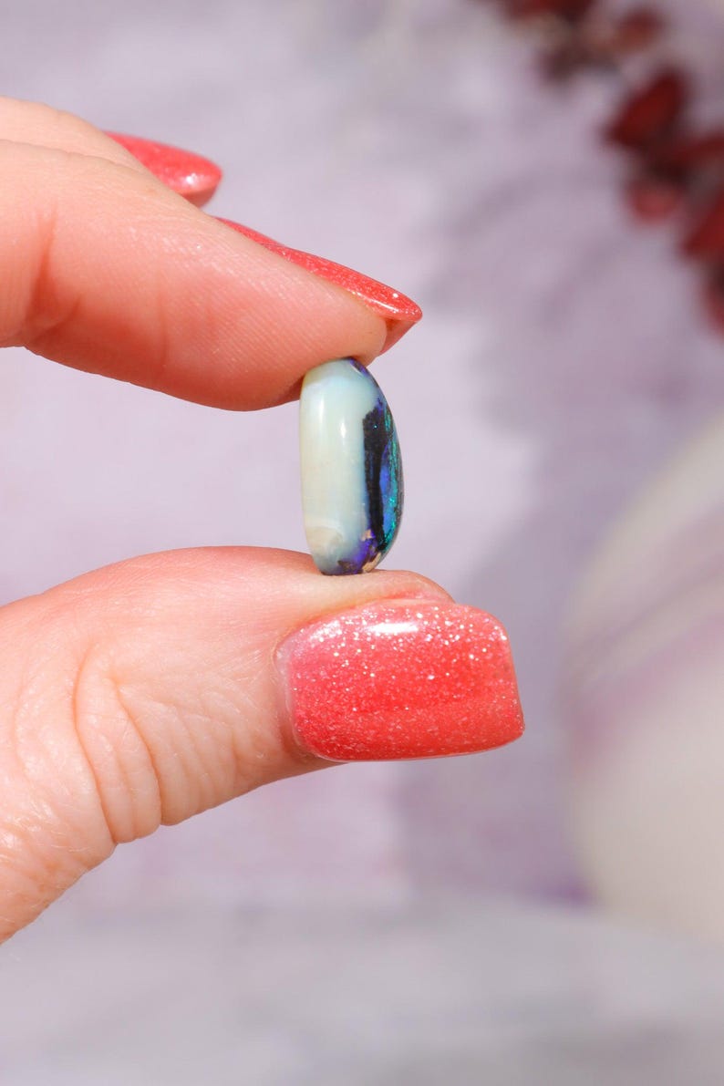 Australian Fern Fossil Opal