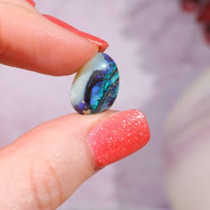 Australian Fern Fossil Opal