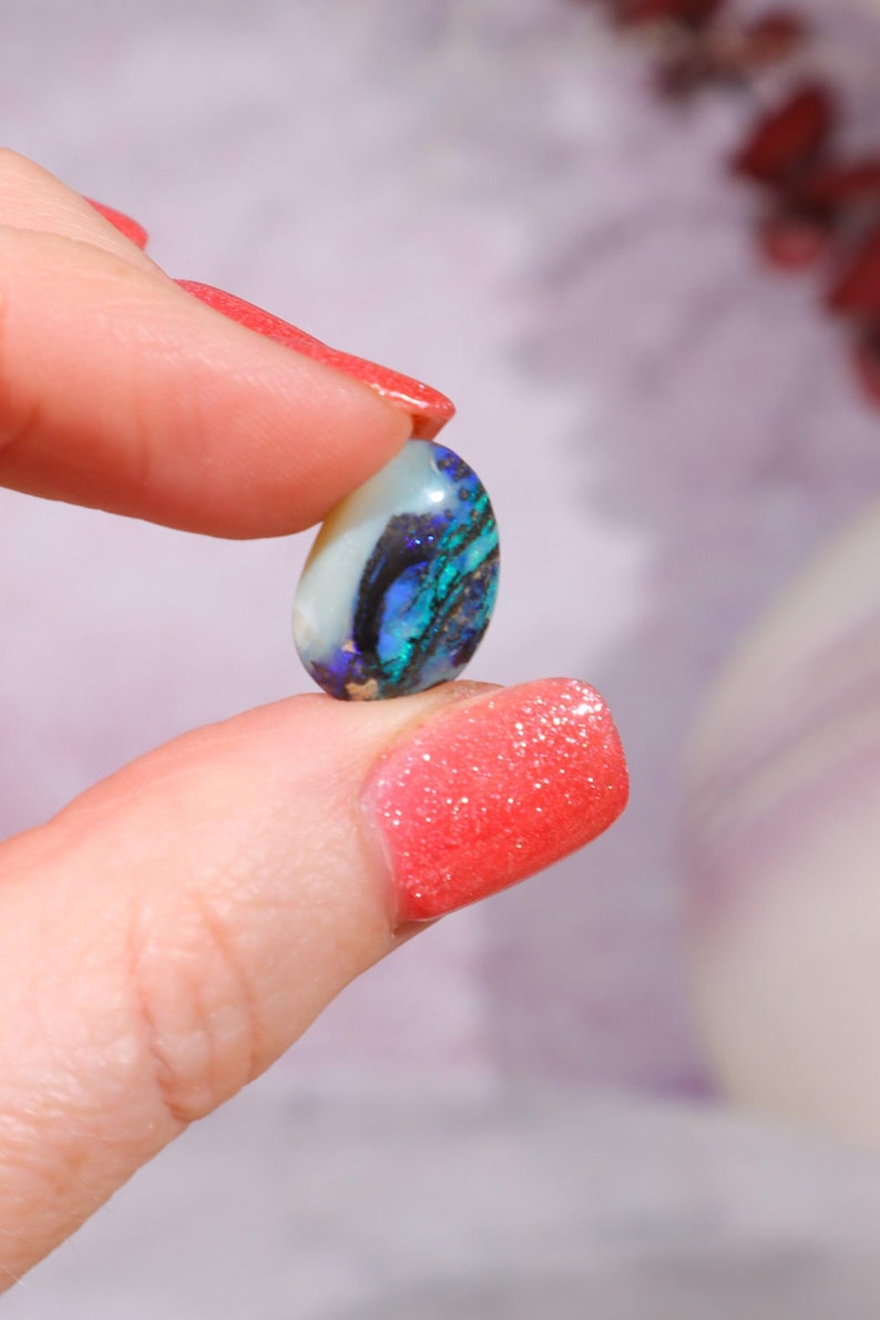 Australian Fern Fossil Opal